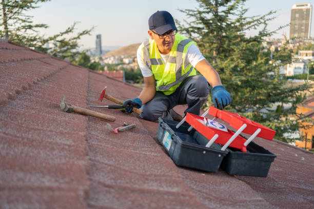 Best Hoarding Cleanup  in Elwood, NY
